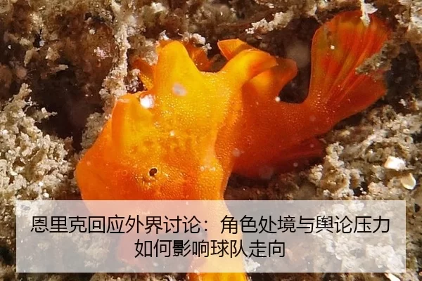 en-li-ke-hui-ying-wai-jie-tao-lun-jue-se-chu-jing-yu-yu-lun-ya-li-ru-he-ying-xiang-qiu-dui-zou-xiang-2-995.jpg